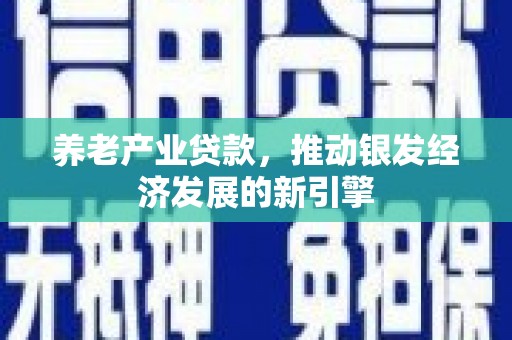 城关养老产业贷款，推动银发经济发展的新引擎