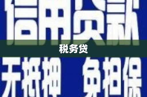 城关税务贷