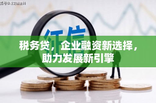 城关税务贷，企业融资新选择，助力发展新引擎