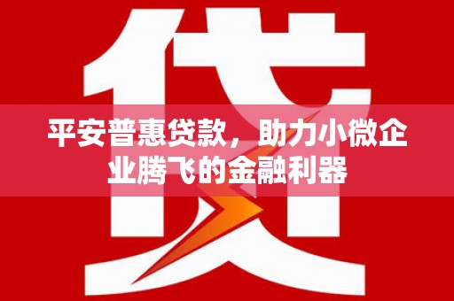 城关平安普惠贷款，助力小微企业腾飞的金融利器
