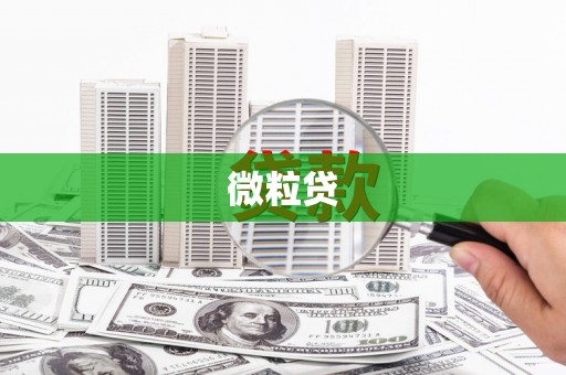 城关微粒贷