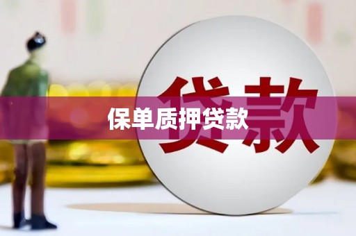城关保单质押贷款