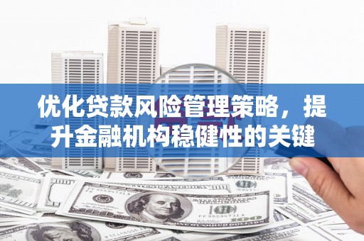 城关优化贷款风险管理策略，提升金融机构稳健性的关键