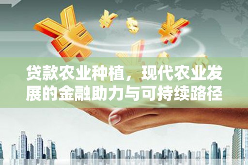 城关贷款农业种植，现代农业发展的金融助力与可持续路径
