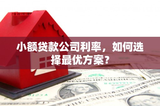 城关小额贷款公司利率，如何选择最优方案？