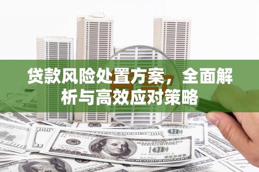城关贷款风险处置方案，全面解析与高效应对策略