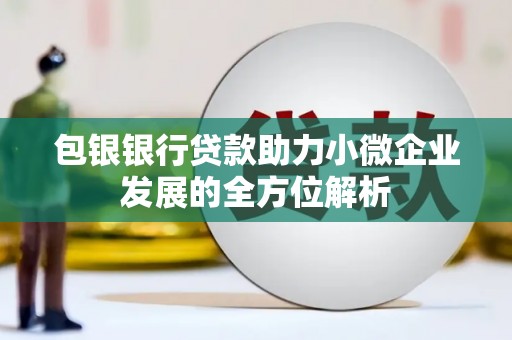 城关包银银行贷款助力小微企业发展的全方位解析