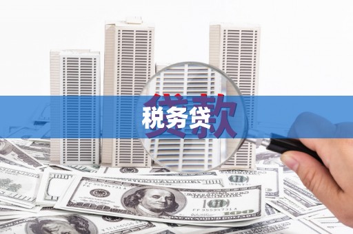 城关税务贷