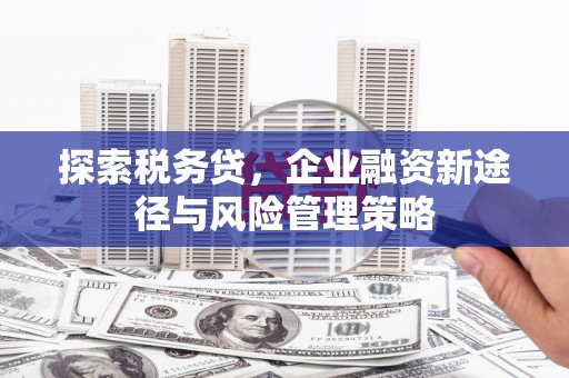城关探索税务贷，企业融资新途径与风险管理策略