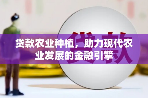 城关贷款农业种植，助力现代农业发展的金融引擎