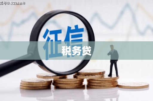 城关税务贷