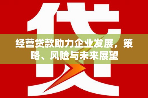 城关经营贷款助力企业发展，策略、风险与未来展望