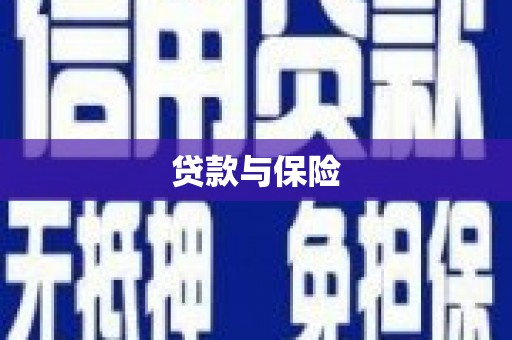 城关贷款与保险
