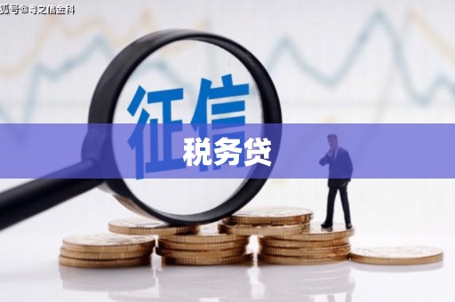 城关税务贷