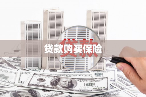 城关贷款购买保险