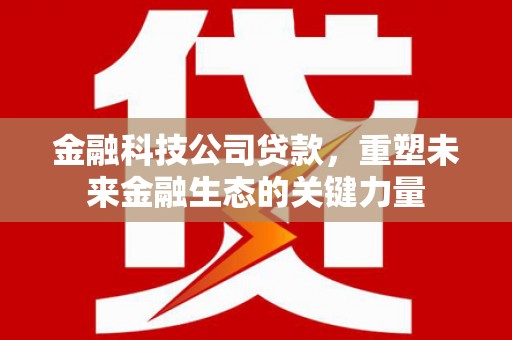城关金融科技公司贷款，重塑未来金融生态的关键力量
