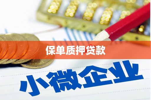 城关保单质押贷款