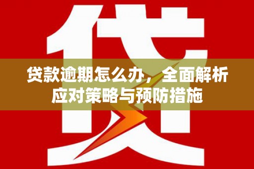 城关贷款逾期怎么办，全面解析应对策略与预防措施