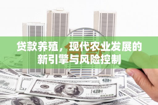 城关贷款养殖，现代农业发展的新引擎与风险控制