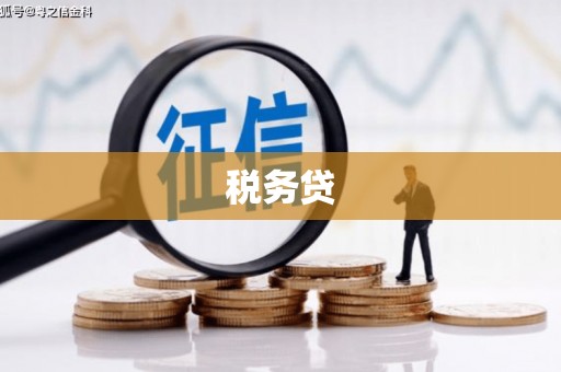 城关税务贷