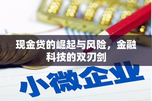 城关现金贷的崛起与风险，金融科技的双刃剑