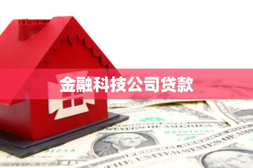 城关金融科技公司贷款