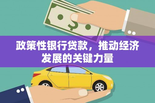 城关政策性银行贷款，推动经济发展的关键力量
