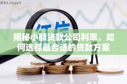 城关揭秘小额贷款公司利率，如何选择最合适的贷款方案