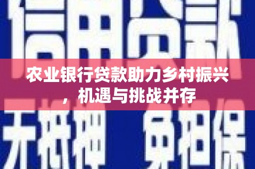 城关农业银行贷款助力乡村振兴，机遇与挑战并存