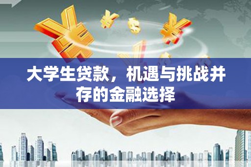 城关大学生贷款，机遇与挑战并存的金融选择