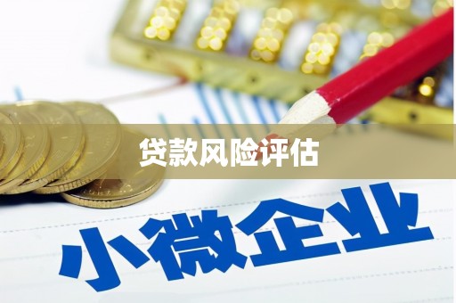城关贷款风险评估