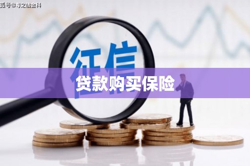 城关贷款购买保险