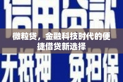 城关微粒贷，金融科技时代的便捷借贷新选择