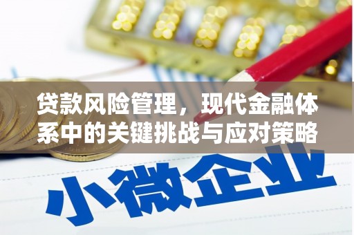 城关贷款风险管理，现代金融体系中的关键挑战与应对策略