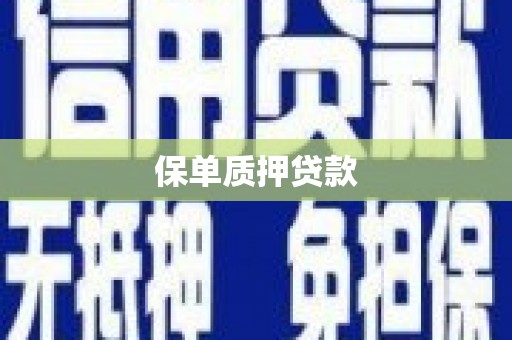 城关保单质押贷款