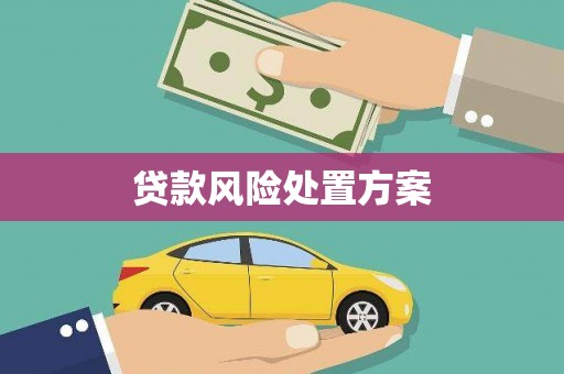 城关贷款风险处置方案