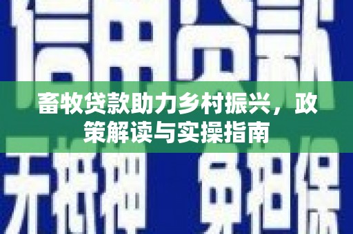 城关畜牧贷款助力乡村振兴，政策解读与实操指南