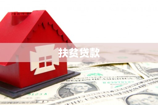 城关扶贫贷款