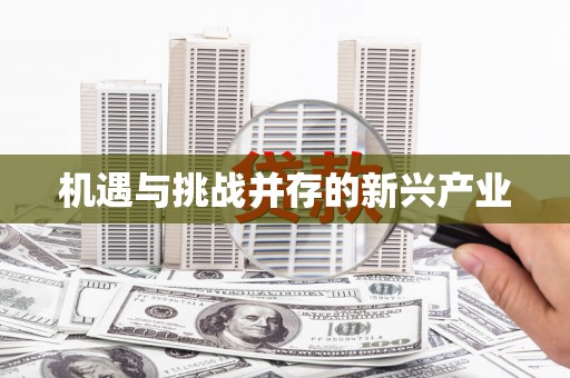 城关机遇与挑战并存的新兴产业