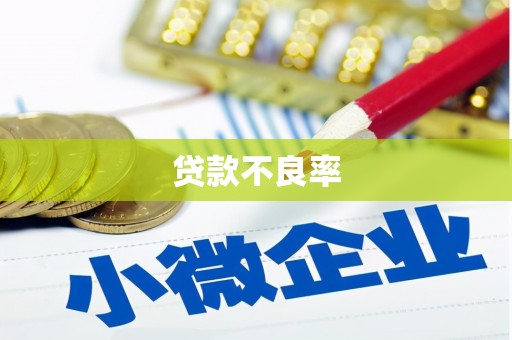 城关贷款不良率