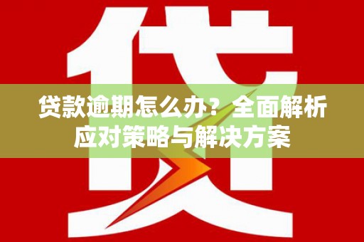 城关贷款逾期怎么办？全面解析应对策略与解决方案