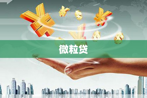 城关微粒贷