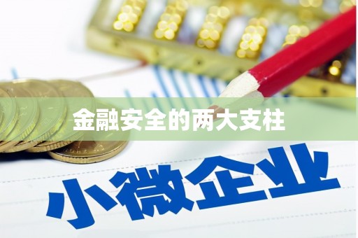 城关金融安全的两大支柱