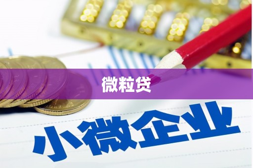 城关微粒贷