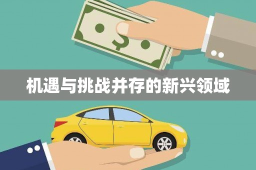 城关机遇与挑战并存的新兴领域