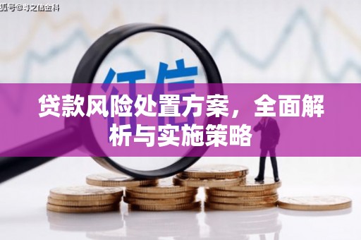 城关贷款风险处置方案，全面解析与实施策略