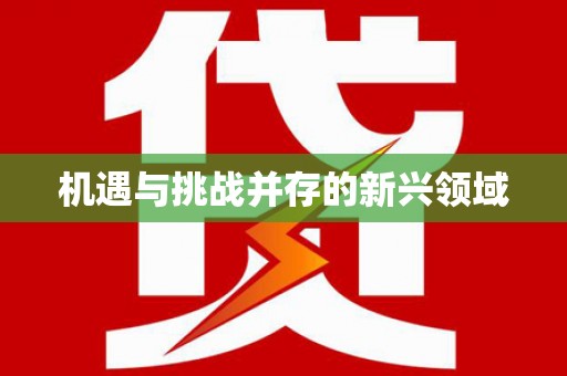 城关机遇与挑战并存的新兴领域