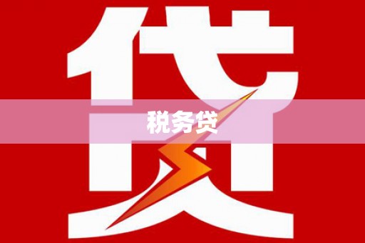 城关税务贷