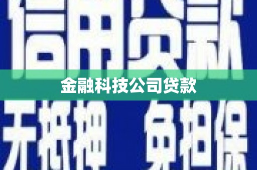 城关金融科技公司贷款