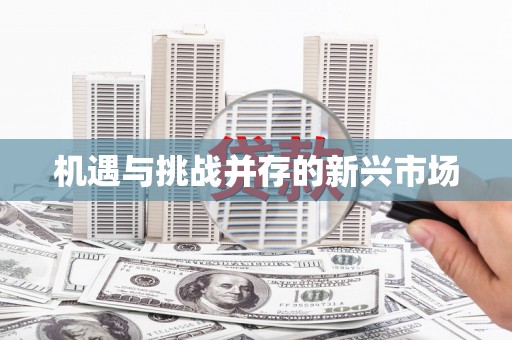 城关机遇与挑战并存的新兴市场